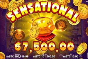 釣魚新手看過來！GR捕魚機使用全攻略，讓你輕鬆上手